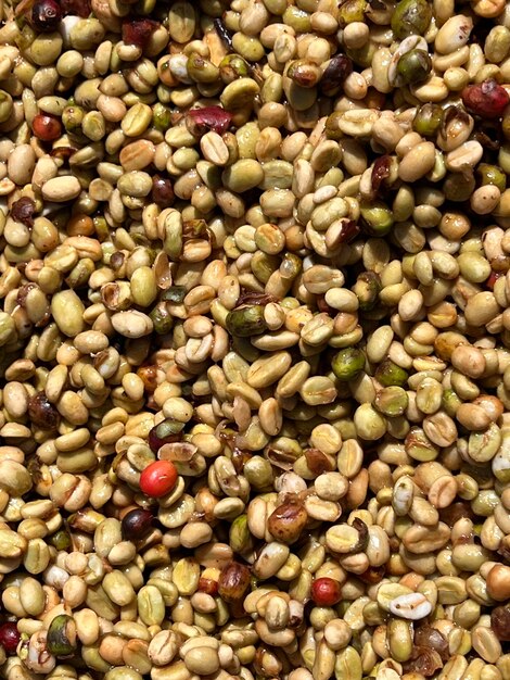 Coffee beans in the sundrying process the honey process in the highland Sidama region of Ethiopia