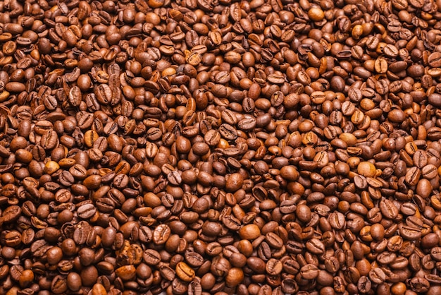 Coffee beans on a white background Top view Coffee beans texture