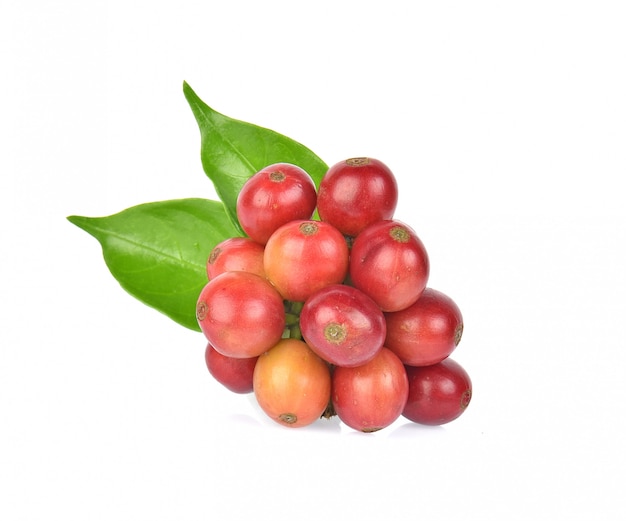 Coffee beans on white background.