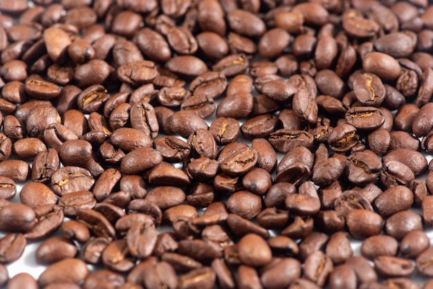 Coffee beans on white.Fragrant fried coffee beans.