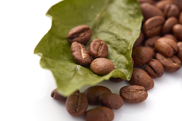 Coffee beans with coffee leaves