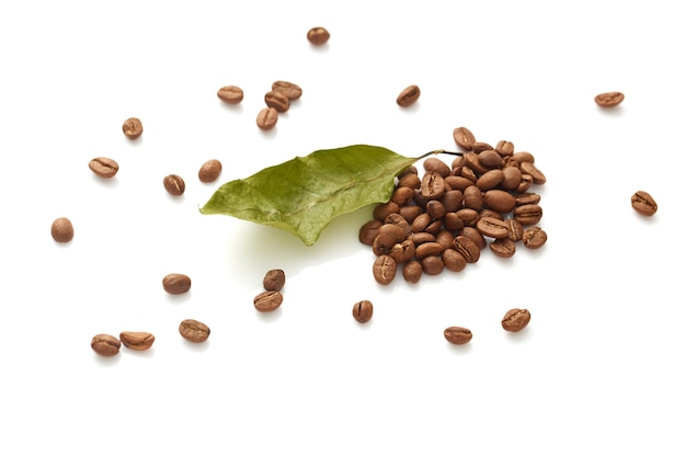 Coffee beans with coffee leaves