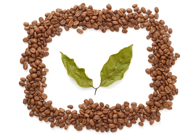 Photo coffee beans with coffee leaves