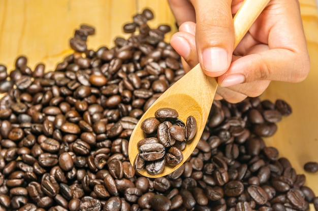 Chicchi di caffè con il cucchiaio di legno in mano