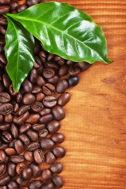 Coffee Beans over Wood Background