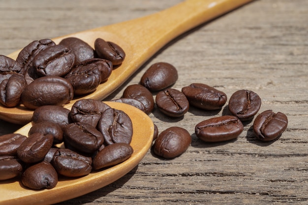 Coffee beans in wooden spoons