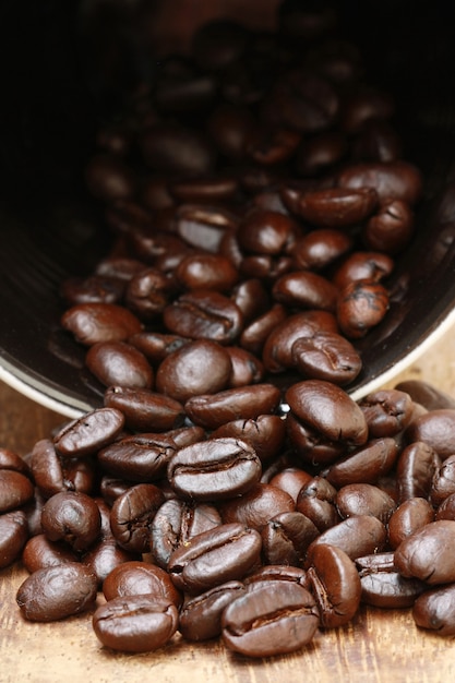 Coffee beans 