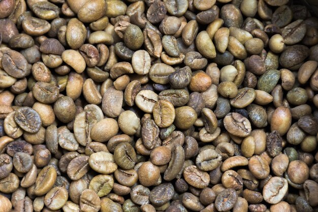 Coffee Beans