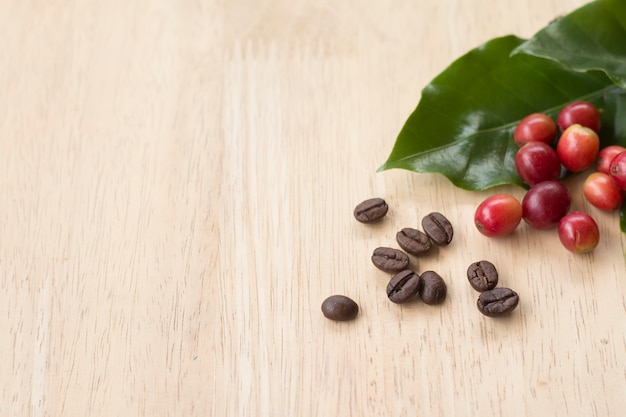 coffee berry and coffee beans on wooden panel