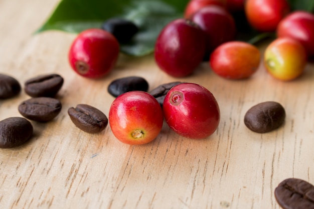 coffee berry and coffee beans on wooden panel