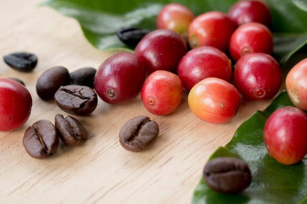 coffee berry and coffee beans on wooden panel