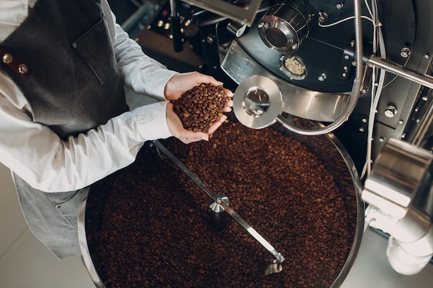 Coffee cooling in roaster machine at coffee roasting process Young woman worker barista Mixing and hold coffee beans in hands