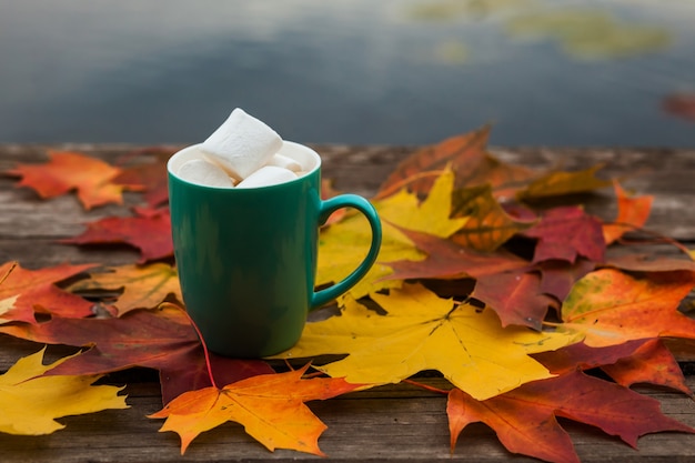 Coffee Cup of cappuccino and Marshmallows autumn leaves on surface old dark wood planks.