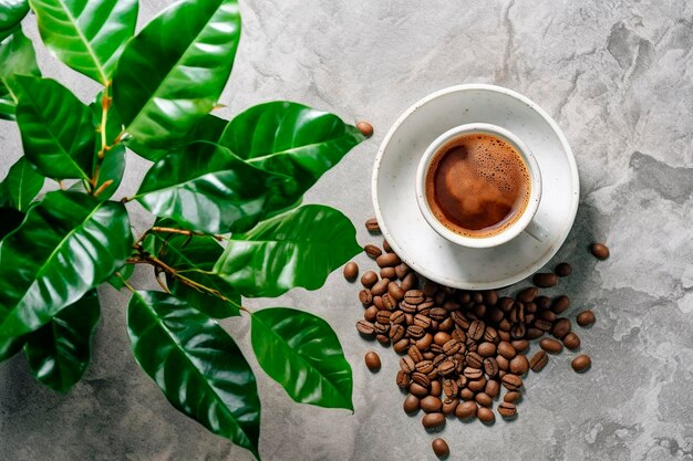 Coffee cup and coffee beans