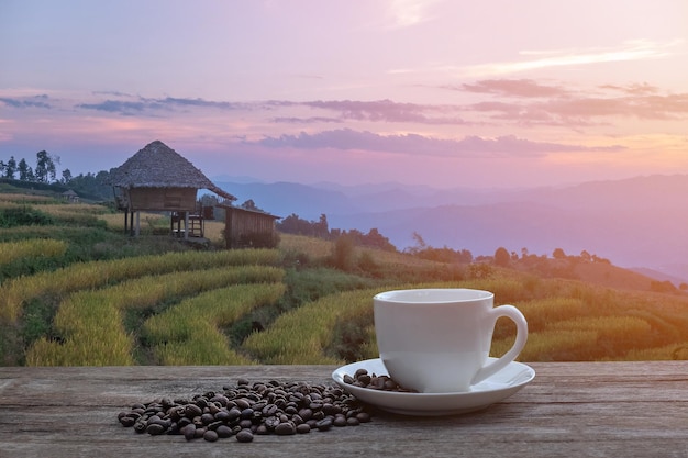 Foto coppa di caffè sul campo contro il cielo durante il tramonto