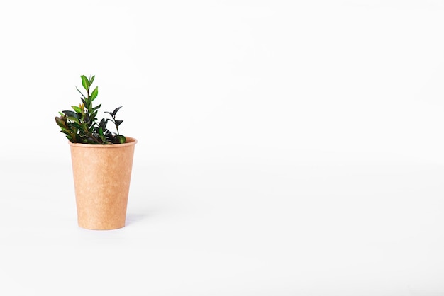 Coffee cup of reusable materials with green twig from cover on white background. zero waste concept. ecology. replacement for plastic cups. Copy space, go green, isolated