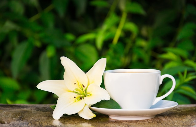 Coffee cup and white lily on natural green background.
