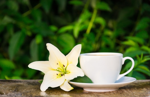 コーヒーカップと自然の緑の背景に白いユリ。