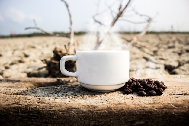 写真 コーヒーカップ