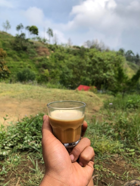 Photo coffee in forest