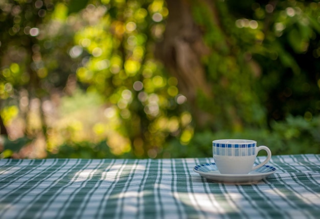 Coffee in the garden