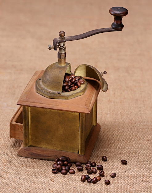 Coffee grinder and beans in vintage style