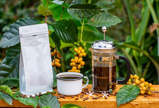 Confezioni caffè e caffettiere in composizione con il paesaggio la tavola e il bosco