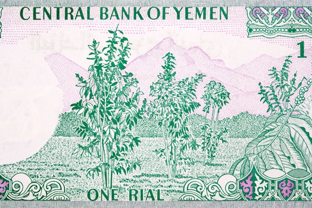 Coffee plants with mountains from Yemeni rial