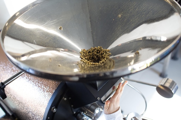 커피 로스팅 과정에서 커피 로스터 기계 젊은 여성 작업자 바리스타가 녹색 커피 콩을 기구에 로드합니다.