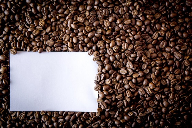 豆のコーヒー種子と紙のブランク