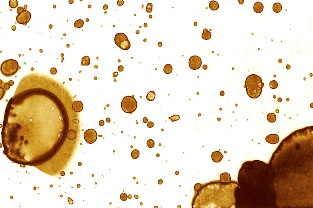 Coffee stain texture Abstract spots Psychological pictures Abstract bubbles