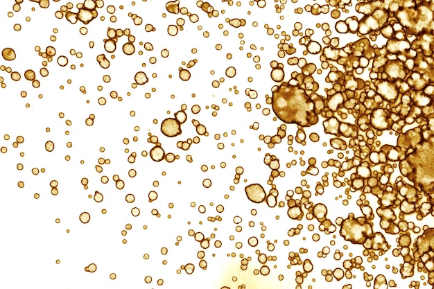 Coffee stain texture Abstract spots Psychological pictures Abstract bubbles