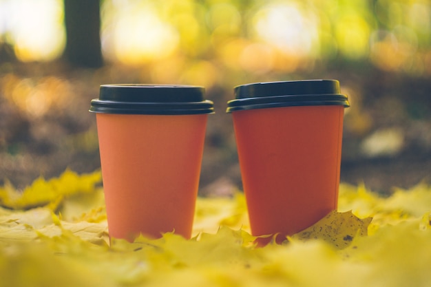 Coffee takeaway cups in an autumn foliage. Outdoor coffee. 