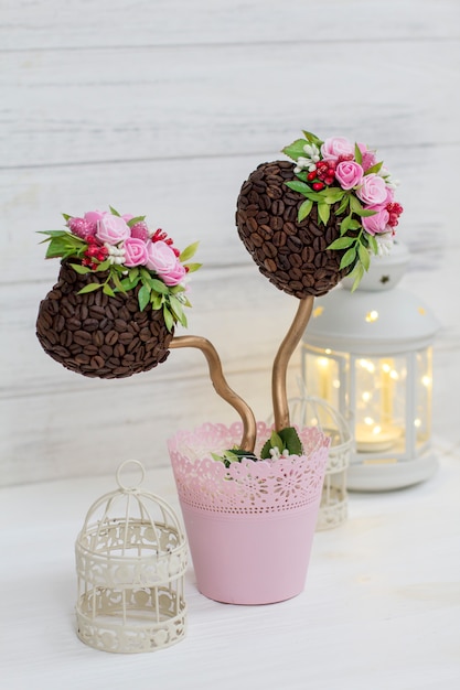 A coffee tree. Ornamental tree. Topiary. Wedding Decoration and Lantern