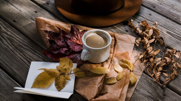 Foto erba di caffè piatti a foglia di erba