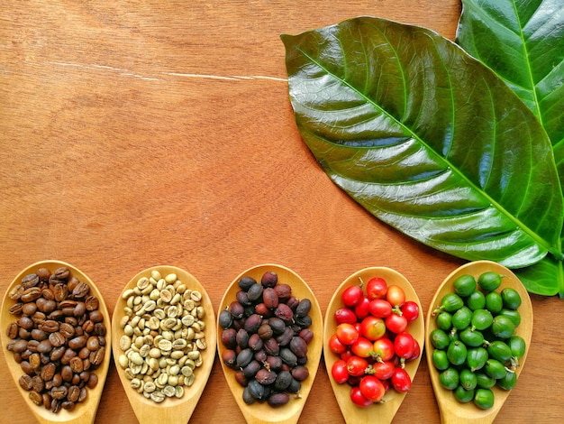 コーヒーの豆のスプーンと大きな葉の木製の背景にコピースペース