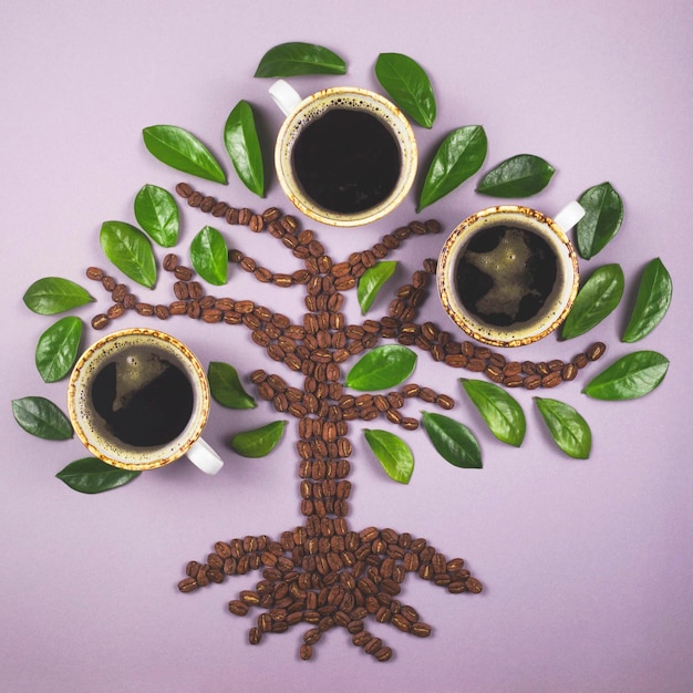 Foto albero di fagioli coggee con tre tazze di caffè layout creatove