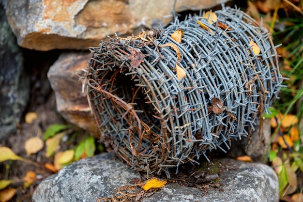 A coil of old barbed wire on a stone closeup photo