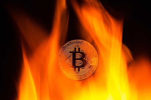 coin bitcoin on fire