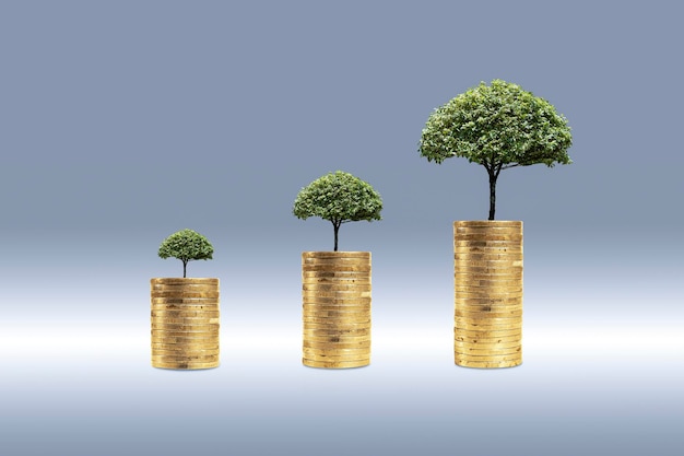 Coin stack with green tree on top