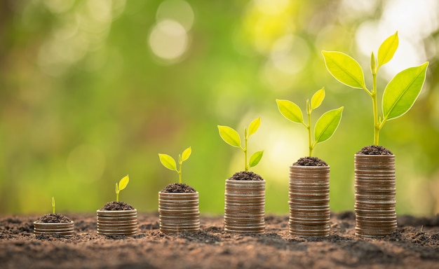 Coin stack with young green sprout on top. Business success, Financial or money growing concept