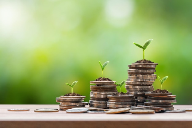 Coin stacks growing graph with plant growing on coins and green\
bokeh background