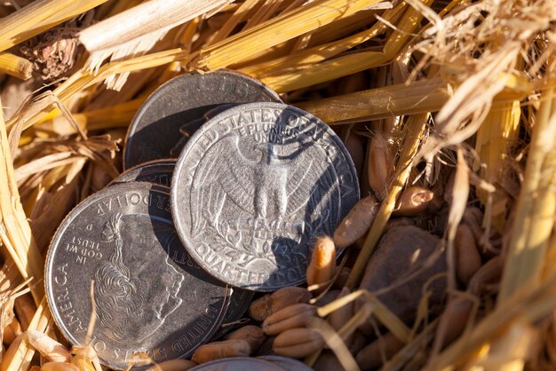 Coin in the straw