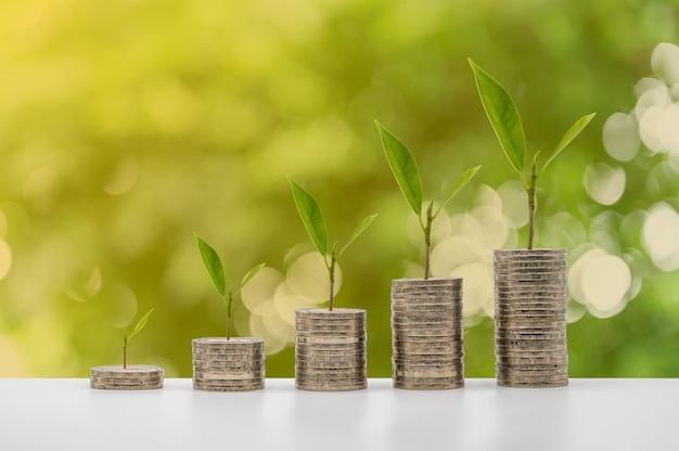 The coins accummulate in column with tree growth that represent money saving or financial planning idea for economy.