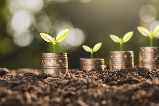 The coins are stacked on the ground and the seedlings are growing on top.