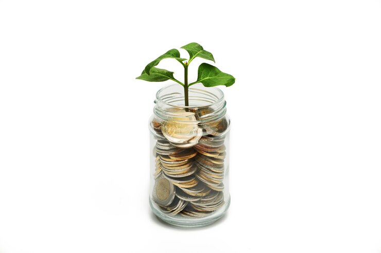 Photo coins in glass jar with the small tree
