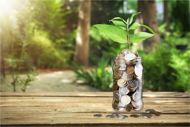 Coins in jar with young plant on forest background