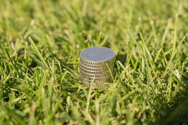 coins and money on green grass