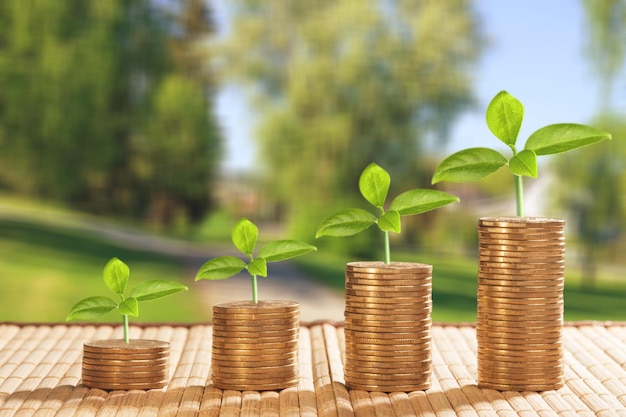 монеты и деньги, выращивание растений для финансов и банковского дела, экономия денег или концепция повышения процентов