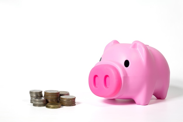 Coins and piggy bank isolated on white